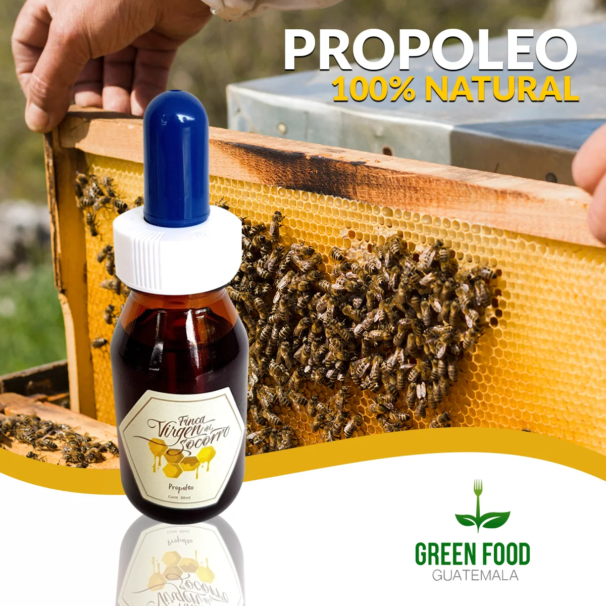 Post de Green Food Guatemala para propóleo natural